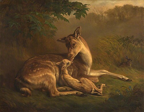 Deer and a Fawn, 1871, Samuel John Carter