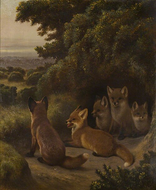 A Litter of Fox Cubs, 1884, Samuel John Carter