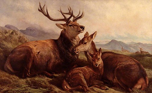 Morning with the Wild Red Deer, 1876, Samuel John Carter