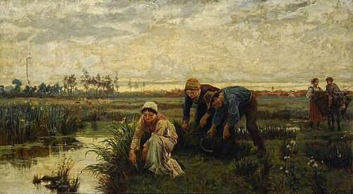 Rush Cutters, , Alice Havers