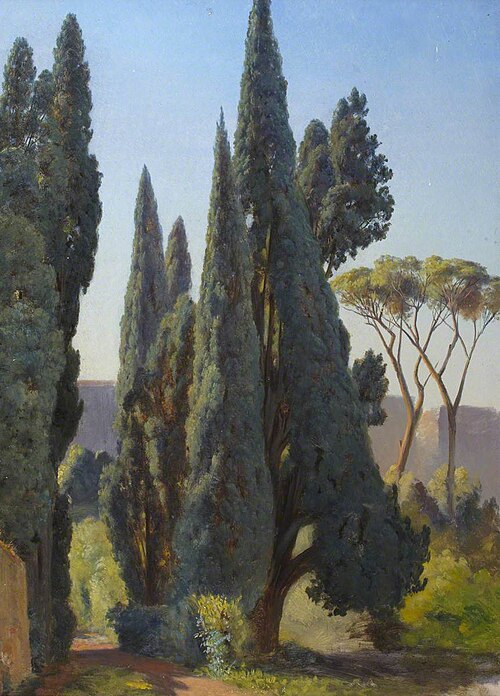 Stone Pine, , Thomas Stuart Smith