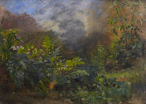 Waterside Vegetation, , Thomas Stuart Smith