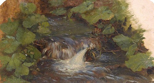 Leaves and a Waterfall, , Thomas Stuart Smith