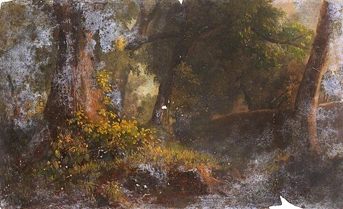 A Shady Forest, , Thomas Stuart Smith