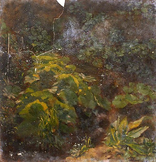 Plant Study, , Thomas Stuart Smith