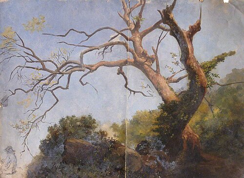 Study of a Tree, , Thomas Stuart Smith