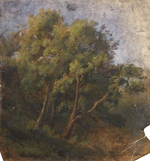 Forest Landscape, , Thomas Stuart Smith
