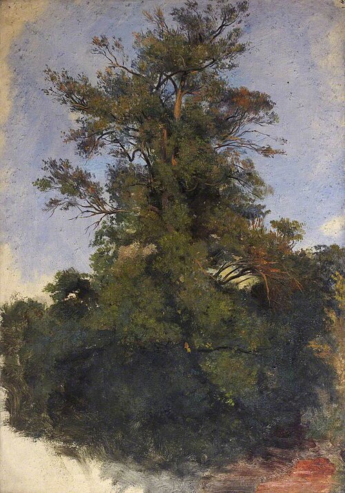 Tree at the Water's Edge, , Thomas Stuart Smith