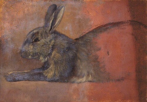 Study of a Rabbit, , Thomas Stuart Smith