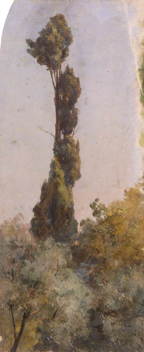 Tall Trees, , Thomas Stuart Smith