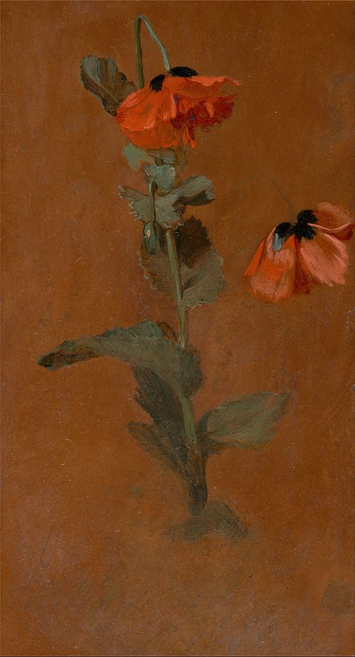 Study of Poppie, 1832, James Inskipp