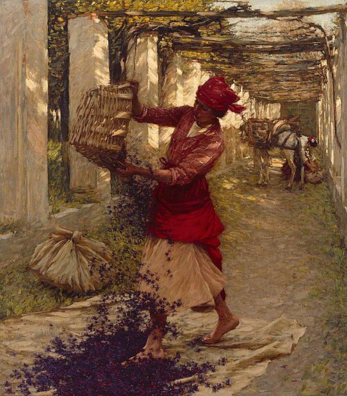 Violets for Perfume, 1913, Henry Herbert La Thangue
