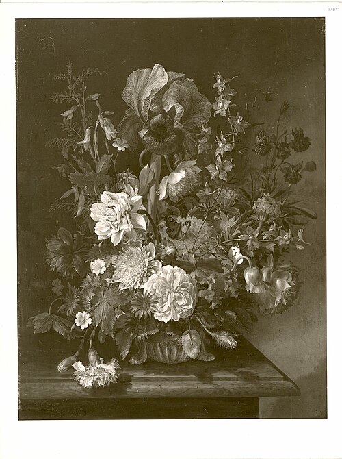 flower - piece, 1707, Herman van der Myn