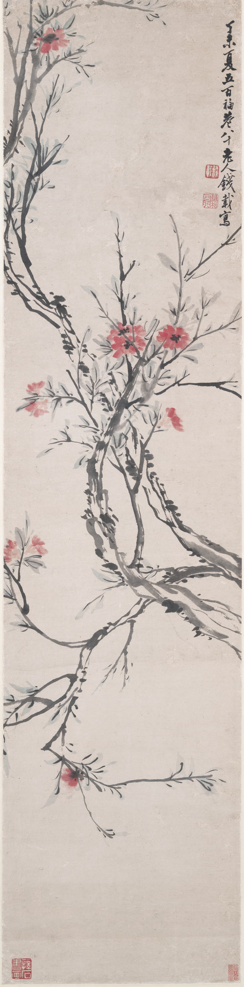 Pomegranate Flower, 1787, Qian Dai