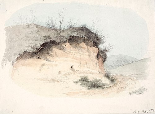 Landscape Study, , Anders Ekman