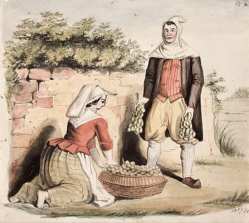 Viininkorjuu, 1850, Anders Ekman
