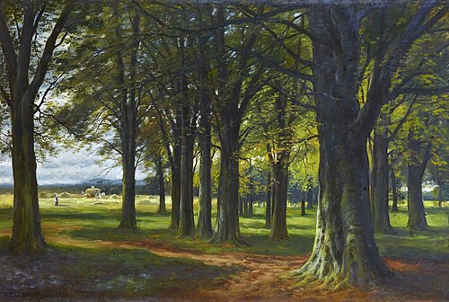 A Beech Wood, 1878, William Beattie Brown