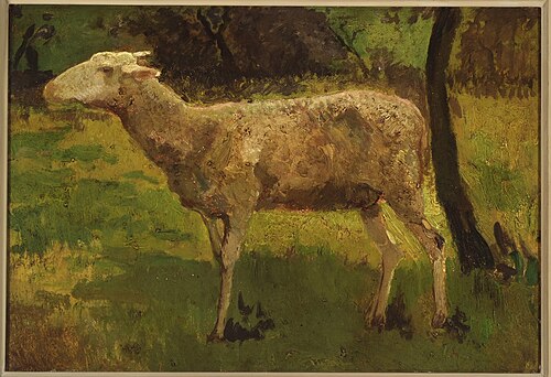 Schaap., 1870, Hippolyte Boulenger
