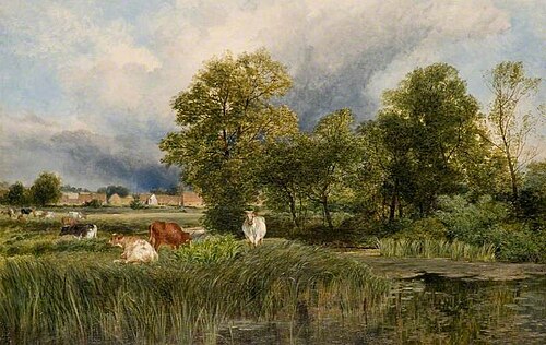 Marshlands, , James Peel