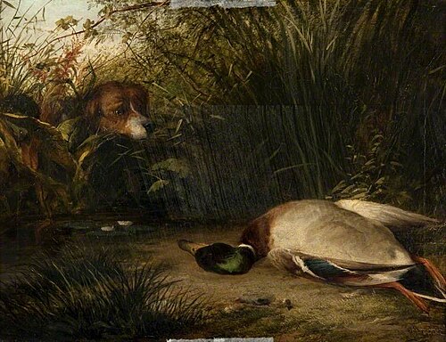 A Pointer and a Dead Wild Duck, 1851, Arthur James Stark