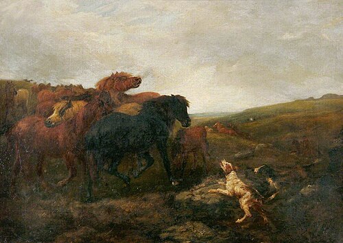 Dartmoor Ponies, , Arthur James Stark