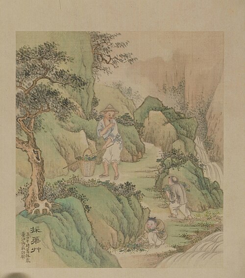 徐扬端阳故事册之采药草, , Xu Yang