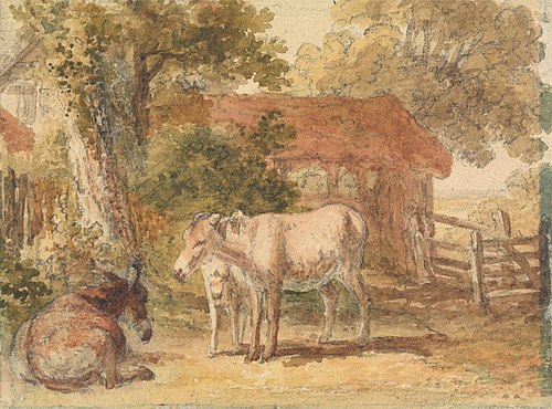 Three Donkeys, , Robert Hills