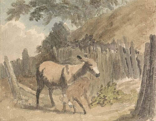 A Donkey and Foal, , Robert Hills