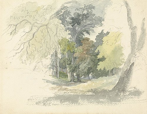 A Woodland Glade, , Robert Hills