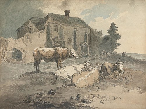 Long-Horned Cattle, , Robert Hills