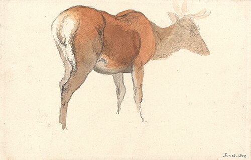 A Stag, 1802, Robert Hills