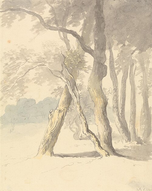 Woodland Study, 1802, Robert Hills
