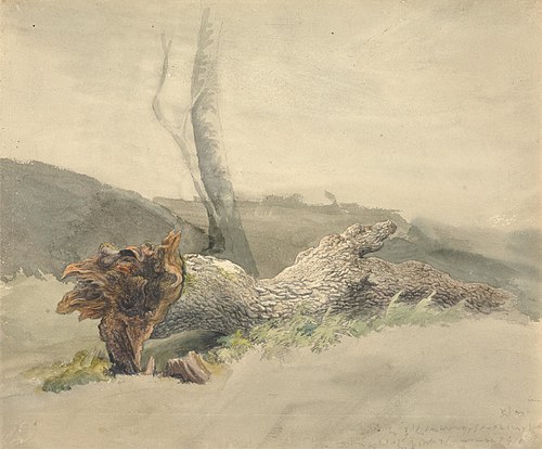 The Fallen Tree, 1804, Robert Hills