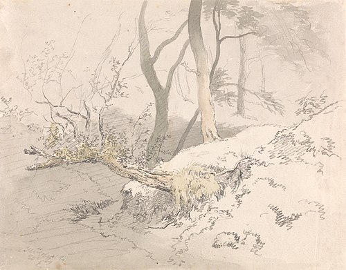 Woodland Shadow, 1801, Robert Hills