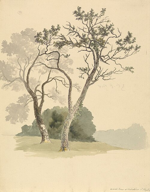 Orchard Trees at Under River near Knole, 1826, Robert Hills