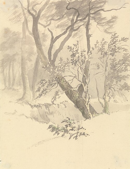 The Wood, , Robert Hills