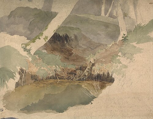 Forest Pool, , Robert Hills