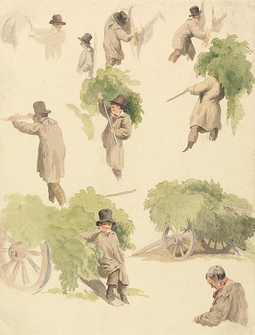 Carting Hops and Other Studies, , Robert Hills
