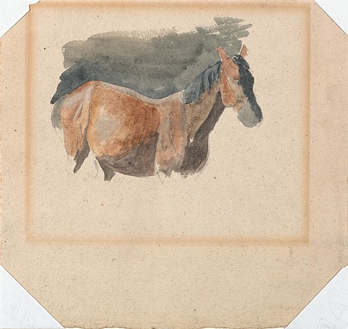 Sketch of a Horse, , Robert Hills