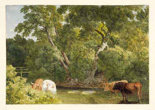 Cows standing in a Stream, 1816, Robert Hills