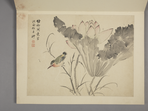 杨晋山水花鸟册, , Yang Jin