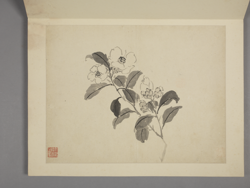 杨晋山水花鸟册, , Yang Jin
