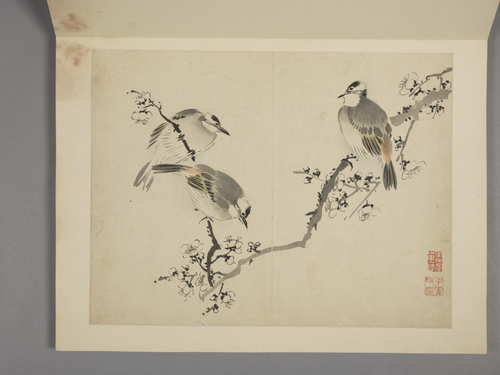 杨晋山水花鸟册, , Yang Jin