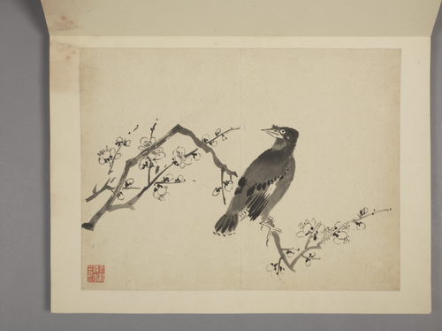 杨晋山水花鸟册, , Yang Jin