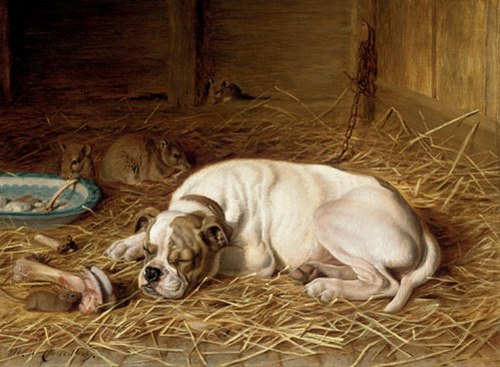 Caught napping, 1893, Horatio Henry Couldery