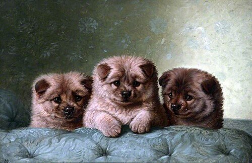 Chow Chows, , Horatio Henri Couldery