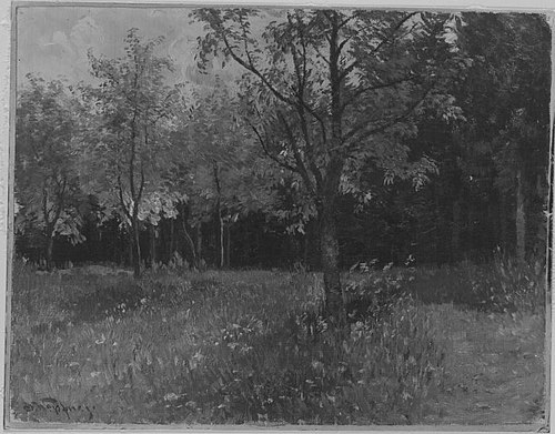 Waldwiese, 1901, Josef Wopfner