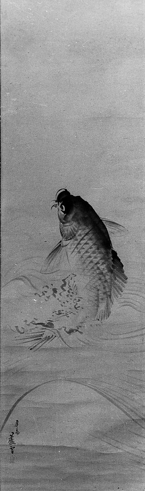 Carp, 1816, Nagasawa Rosetsu