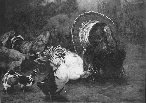 Hühnerhof, 1897, Hubert von Heyden