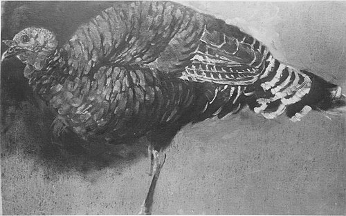Truthenne, 1897, Hubert von Heyden